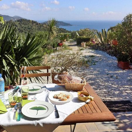 Pretty Tiny House With Sea View, Le Lavandou Exterior foto